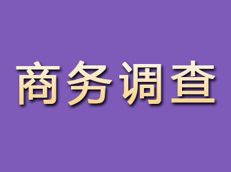 安塞商务调查